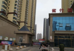 紫竹园